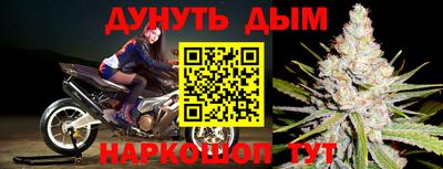 прущие грибы Малоярославец