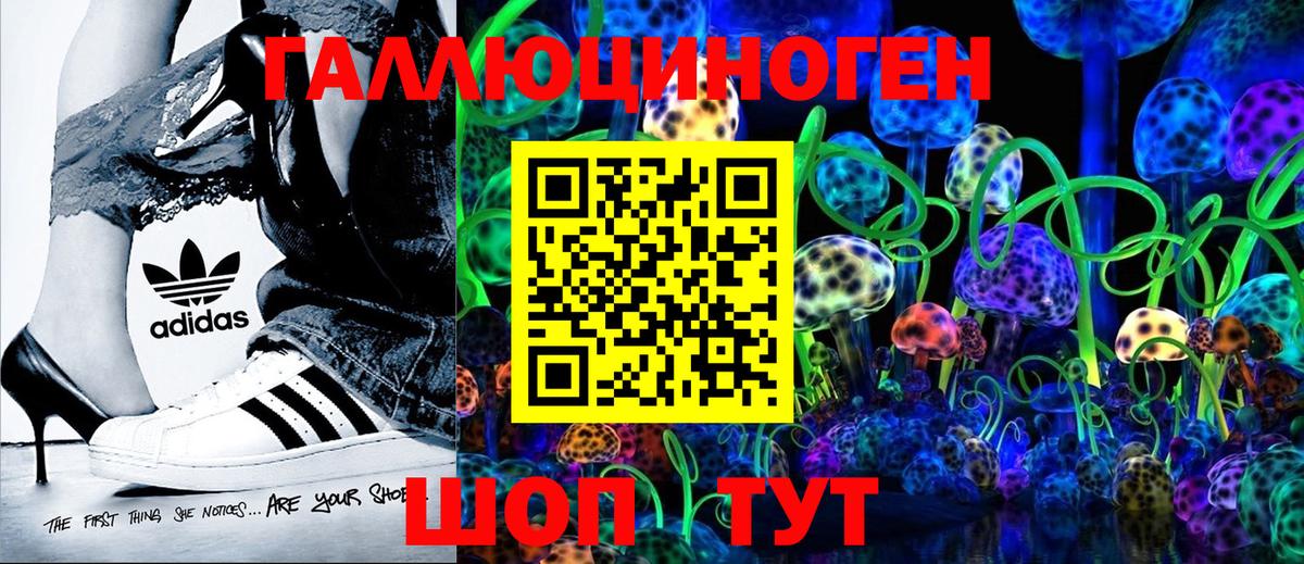 Псилоцибиновые грибы Psilocybe Жигулёвск