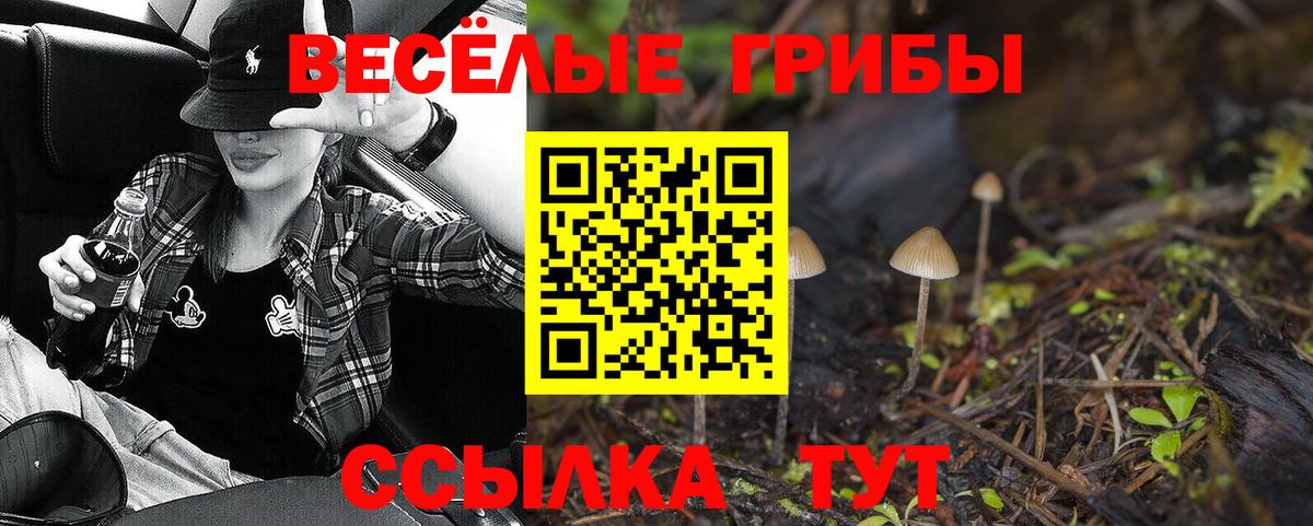 Псилоцибиновые грибы ЛСД  Псилоцибиновые грибы Psilocybe  Вход с VPN  наркота  Жигулёвск 